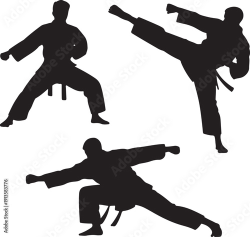 Silhouettes of people practicing karate poses and movements