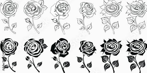 Collection of black and white rose illustrations in various bloom stages