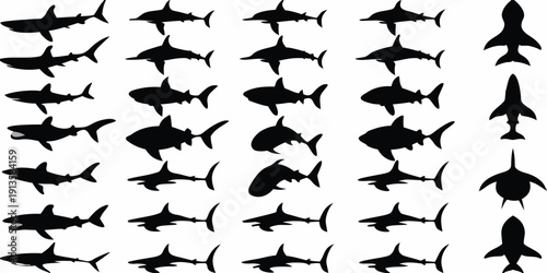Silhouettes of sharks and an airplane against a white background