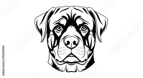 Rottweiler dog head illustration, black and white graphic line art, portrait