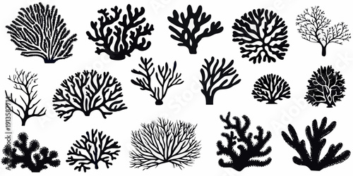 Stylized black and white illustrations of coral and marine plant life