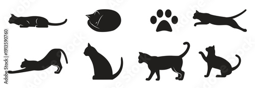set of isolated icons on a theme cats 