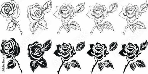 Elegant collection of black and white rose illustrations in various stages