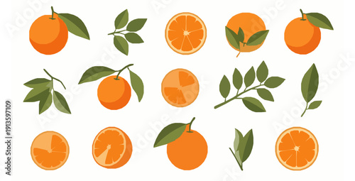 Abstract citrus fruit elements modern flat vector pattern set