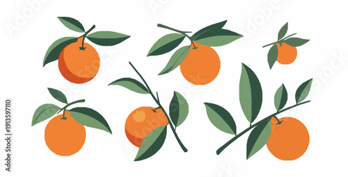 Modern abstract oranges with leaves flat vector botanical art set