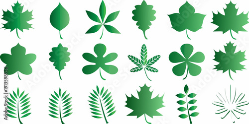A collection of various green leaf shapes and botanical illustrations