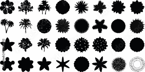 Collection of diverse silhouetted tree and plant top views