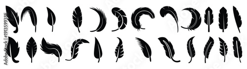  silhouette feather set