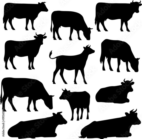 Silhouette Various Cattle Pose Farm Animal Livestock Mammal Collection