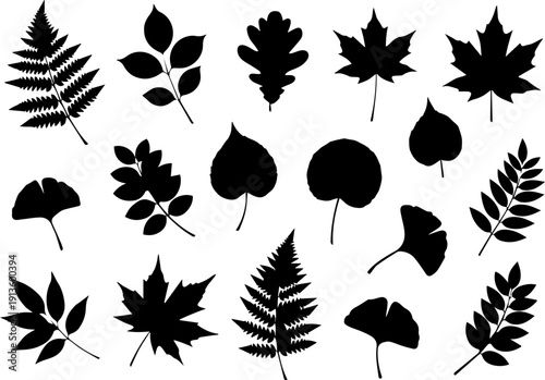 Detailed Silhouette Variety Leaves Collection Nature Decoration Plant Element