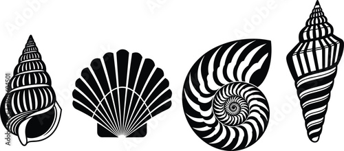 Silhouette set of various sea shells, black ocean seashell collection including nautilus and scallop, isolated on white background, marine nature vector illustration.