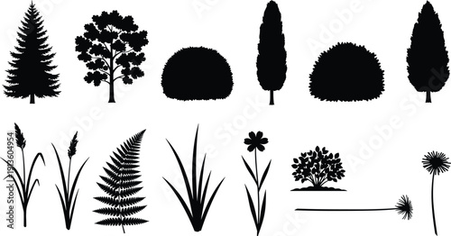Tree and plant silhouette set including pine, oak, cypress, bushes, fern, grass, and dandelion flowers, black vector illustration collection for landscape design.