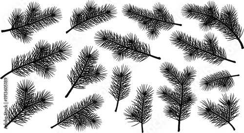 Vector collection of black pine tree branch silhouettes, evergreen fir needles, isolated Christmas decoration elements for winter holiday nature design projects.