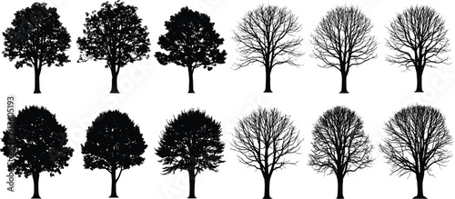 Vector collection of black deciduous tree silhouettes with foliage and bare branches, isolated forest nature elements for landscape design and architectural projects.