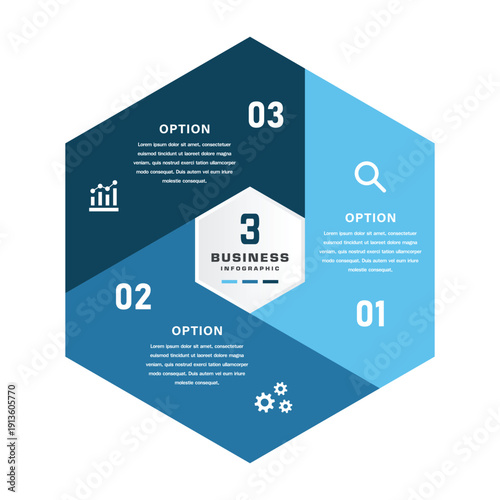 3 Segment Hexagonal Business Infographic with Icons .