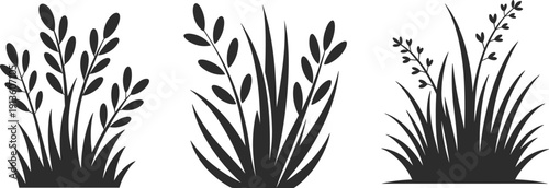 Black plant silhouettes with grass blades and leafy stems, botanical illustration design elements for nature, garden, and landscape art