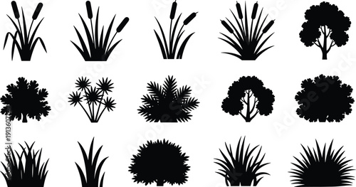 Black plant silhouettes collection, diverse trees, shrubs, grasses, cattails, palm shapes, vector icons for design visualization