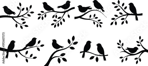Bird silhouettes on tree branches collection, black songbirds with leaves in various poses isolated on light background, minimalist vector illustration for nature decor design