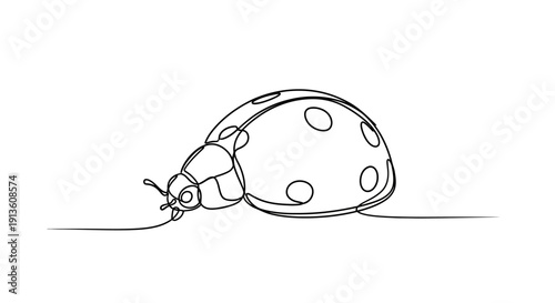 Ladybug Continuous Line Art Isolated on White Background