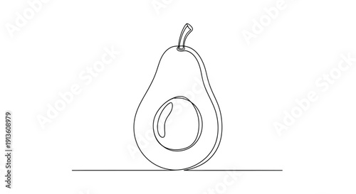 Avocado Line Art Illustration Isolated on White