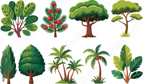 Stylized tree illustrations, tropical palm, banana plant, coniferous pine, broadleaf foliage, botanical nature design, educational collection