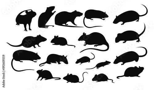 collection of rat silhouette