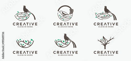 Natural bird nest icon logo with root and leaf symbols in a beautiful combination.