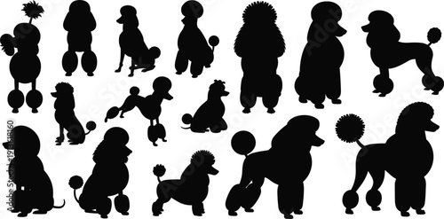 Collection of black poodle silhouettes in various poses and grooming styles animal