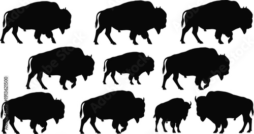 American bison silhouette set in multiple walking poses isolated on white background, detailed buffalo wildlife vector collection for western, prairie and nature designs