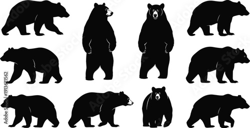 Bear silhouette collection featuring walking, standing and side view poses isolated on white background, wild forest animal vector set for wildlife design