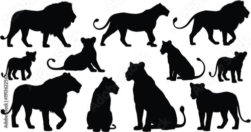 Lion Family Silhouette Collection Featuring Male, Female and Cubs in Standing, Walking, Sitting and Resting Poses Isolated in Black for Wildlife Design