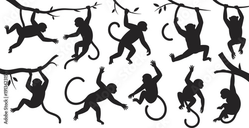 Monkey silhouettes collection with climbing, swinging and hanging poses on tree branches isolated on white background, jungle primate vector illustration set