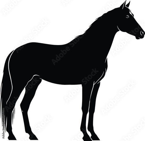 A classic, elegant silhouette of a horse standing in a graceful profile pose, head held high. Focus on clean lines and the iconic shape of the horse. Solid black on white.