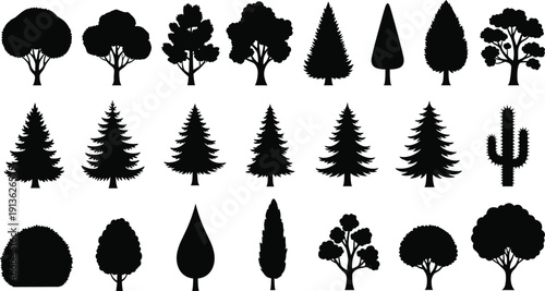 Black silhouette tree collection including pine, fir, deciduous and cactus shapes isolated on white background nature landscape vector illustration set