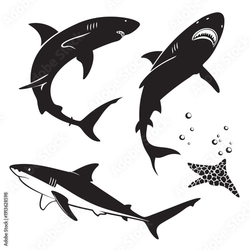 Black and white drawing of sharks and a starfish