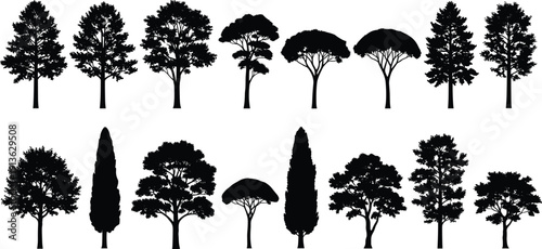 Collection of detailed tree silhouettes vector illustration set, various forest and park trees isolated on white background for landscape design elements