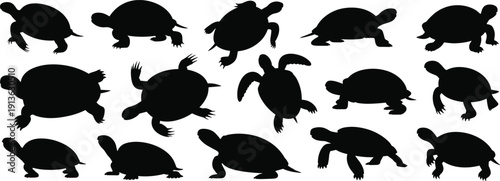 Turtle silhouette set, tortoise animal poses collection, black reptile shapes, wildlife vector illustration, isolated design elements on white background