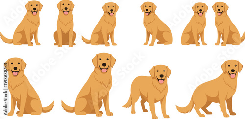 Golden Retriever Dog Cartoon Character Set with Sitting and Standing Poses for Pet Design, Cute Puppy Flat Vector Illustration Collection