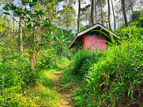 A small pink toilet facility standing next to a path in a lush forest park.