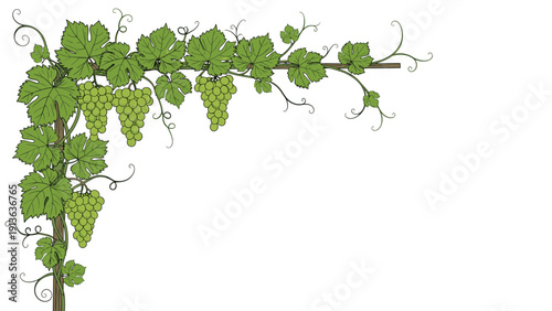 Decorative corner frame features a lush grapevine with green leaves and ripe clusters of white grapes hanging from a simple wooden trellis structure.