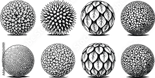 Black tree top view silhouette set, landscape architecture plan symbols, garden plant overhead icons, isolated vector illustration on white background.