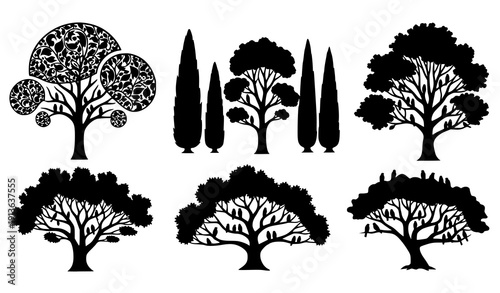 Decorative Woodland Tree Silhouette with Perched Birds Abstract Botanical Vector Illustration Isolated on White Background