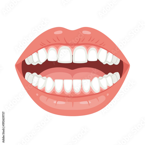An open mouth displaying a full set of healthy white teeth and red lips