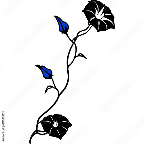 Blue Morning Glory Vine, Ipomoea Indica, Tropical Botanical Art