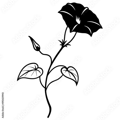 Bush Morning Glory, Ipomoea Leptophylla, Desert Wildflower Vector
