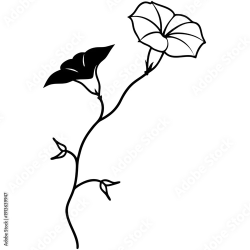 Ipomoea Indica Blue Morning Glory Vine: Symbol of Hope and Growth