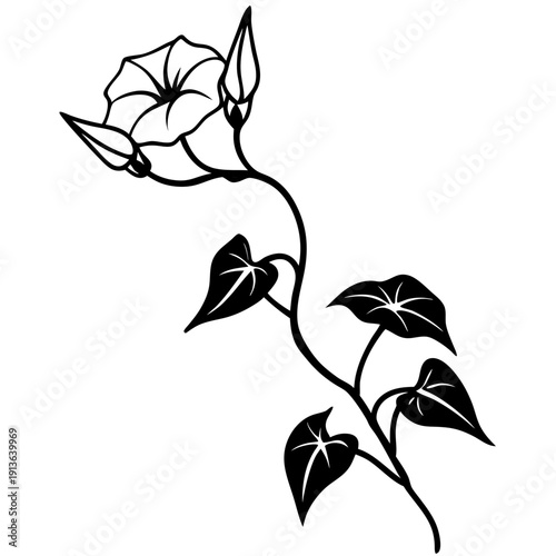 Ipomoea leptophylla Bush Morning Glory Vector Illustration