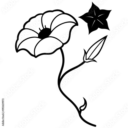 Climbing Ipomoea muricata Purple Moonflower Vector Illustration