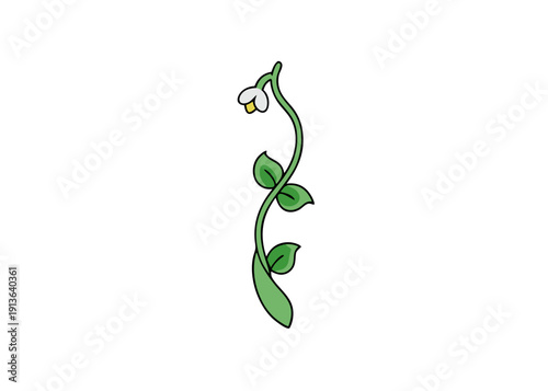 Beautiful Lathyrus Vernus Spring Vetchling Plant with Vibrant Purple Flowers Vector Art