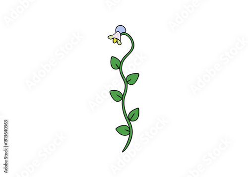 Fresh Spring Vetchling Vine (Lathyrus Vernus) Blooming with Purplish-Blue Flowers